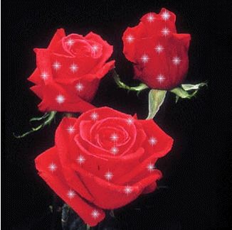 les fleures